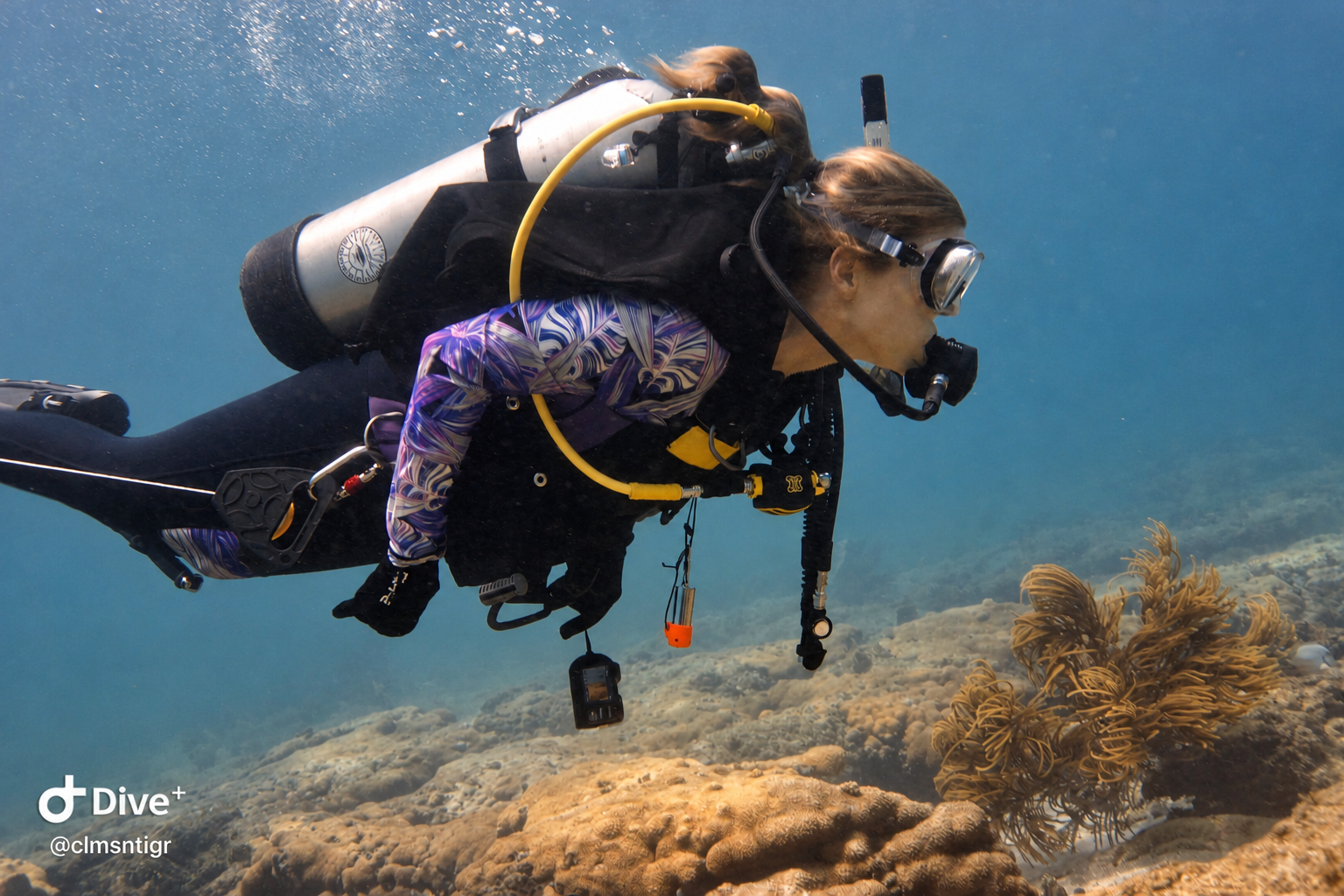 A scuba diver swimming above the seabed